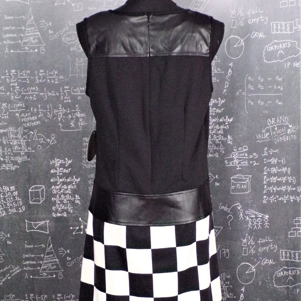 🏁Emma & Michelle Check Shift Dress - Picture 6 of 8